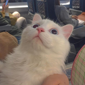 亲近相尾中妈妈和谁在一起了
